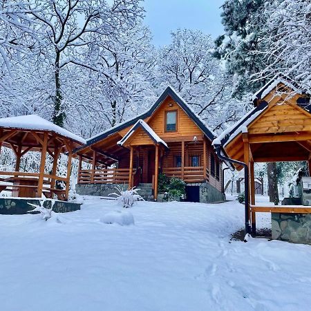 Brvnara Vrsac 빌라 외부 사진