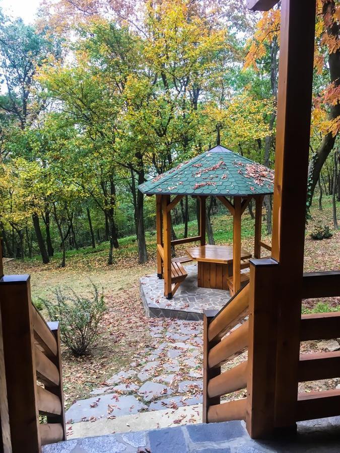 Brvnara Vrsac 빌라 외부 사진