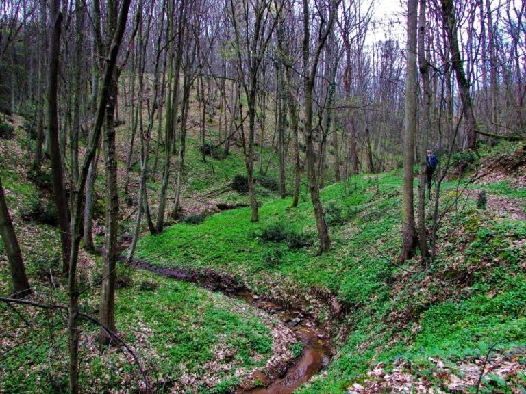 Brvnara Vrsac 빌라 외부 사진